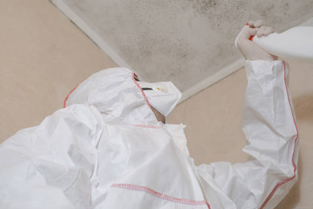 St John, MO Mold Removal Company